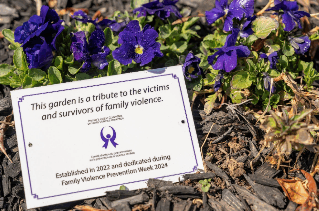 Purple flowers in a garden with a plaque marking Family Violence Prevention Week in PEI