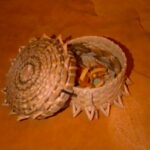 Lennox Island basket, c. 1940s, featured in the First Hand project.