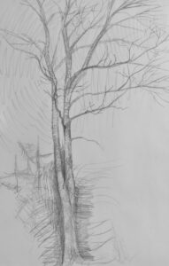 Kate Kechnie's "Tree"